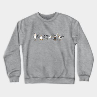 Funny Flock of Seagulls Illustration Crewneck Sweatshirt